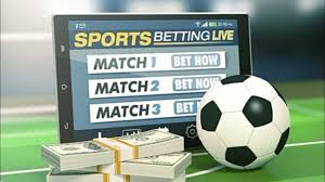 Exploring the World of Ardi Bet Your Gateway to Online Betting