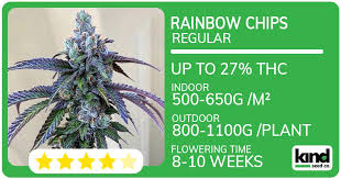 The Ultimate Guide to Cannabis Seeds NY Your Path to Quality Genetics The Ultimate Guide to Cannabis Seeds NY Your Path to Quality Genetics