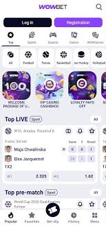 wowbet лицензия Все, что нужно знать о легальности и надежности платформы
